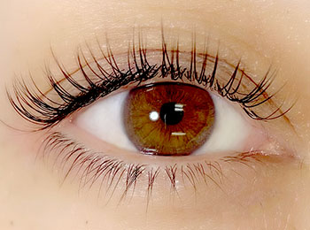 マドンナラッシュ