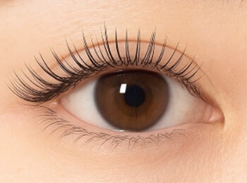 フラットラッシュ